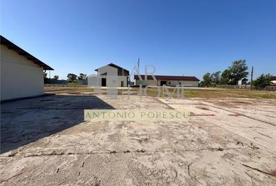 Ansamblu format din teren, platforma betonata si hale industriale, in Brazi, jud - 3