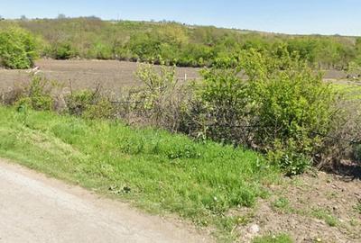 Casă cu Teren 5500 Mp în Zlata - 1