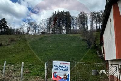 Teren de 6996 mp, în Nămăești