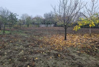 Casa, 740 mp, teren 1300 mp, zona Brestei - 14