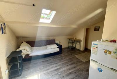 Pet Friendly Elisabetin Balcescu Maria Sinaia Medicina 2 Politehnica UVT - 4