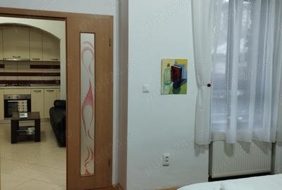 Apartament central regim hotelier - 2