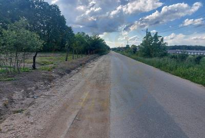 Teren Cerbu - Albota - cu PROIECT CASA si AVIZE - 1