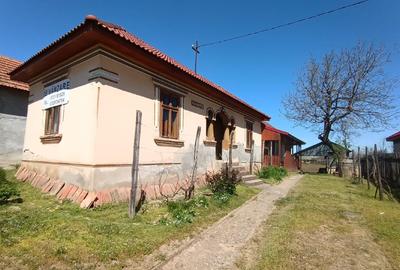 Casă individuală cu 5 camere cu Teren 1250 Mp în Ciupercenii Noi - 1