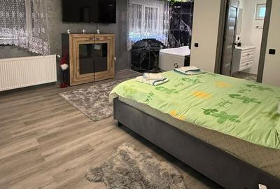 Casă cu 4 camere în Bușag - 8