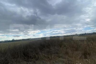 Teren de 2500 mp, în Central