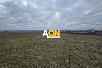 Teren Intravilan 10.000MP Zona Partos Teren Intravilan 10.000MP Zona Partos - 2