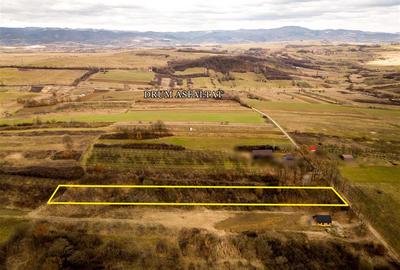 Teren Construcții intravilan de 5361 mp, în Vadu Crișului - 4