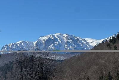 Teren Construcții intravilan de 1664 mp, în Central - 1