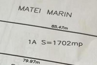 Teren Bolintin Deal 2000 mp New 2024 - 8