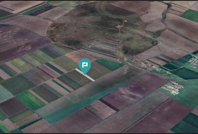 Teren extravilan de 14.500 mp in Caporal Alexa - 5