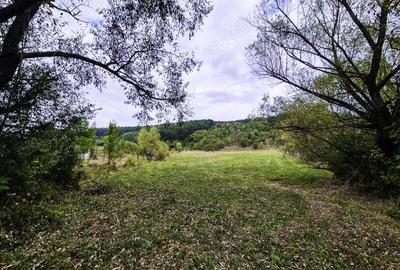 Teren de 7300 mp, în Drăganu - 4