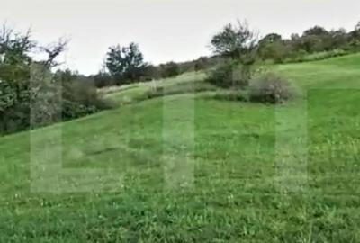 Teren de 4039 mp, în Borhanci - 4