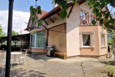 Casa de vis cu gradina de poveste in zona Hubului Educational Borhanci - 4