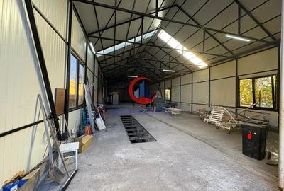 De inchiriat hala zona Mehala - 4