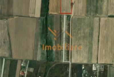 Teren de 5755 mp, în Cihei - 2