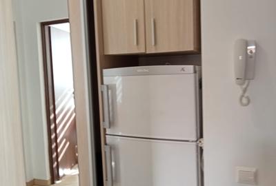 Berceni, metrou Dimitrie Leonida - 7