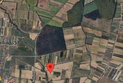 Teren de 11000 mp, în Nojorid - 2