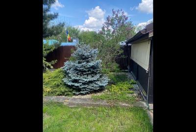 Casă cu 5 camere cu Teren 273 Mp în Butimanu - 3