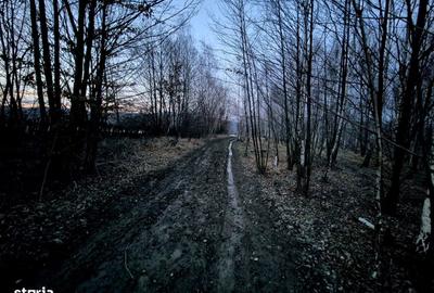 Teren de 5000 mp, în Șinca - 8