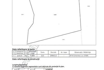 Teren extravilan 5000 MP Comandau - 2