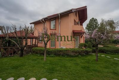 0 Comision Vila Renovata Pipera Baneasa Drumul Potcoavei - 5