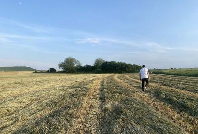 Spațiu comercial, în Cojocna - 1