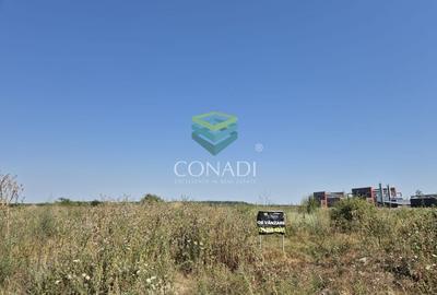 Teren de vanzare cu autorizatie pentru 2 hale - Otopeni - 10.000 mp - 13