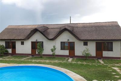 Casă cu 10 camere cu Teren 2433 Mp în Murighiol - 4