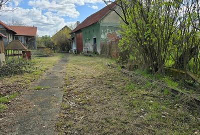 Casă cu 3 camere cu Teren 3863 Mp în Batiz - 11