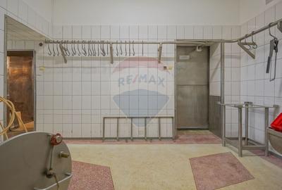 CASA CU SPATIU COMERCIAL SI PARCARE | PIATA UNIRII 12BIS BRASOV SCHEI - 59