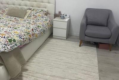 Garsonieră semidecomandată în Roșu - 8