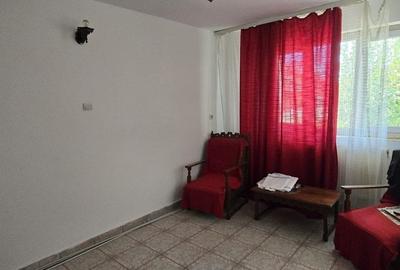 Casa de vanzare - Strada Grivitei, Targu Jiu - 11
