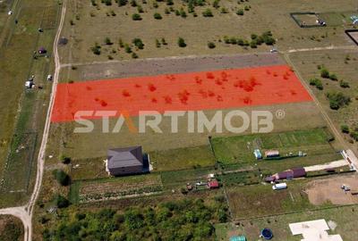 Teren intravilan Livada Sanpetru Teren intravilan Livada Sanpetru - 5