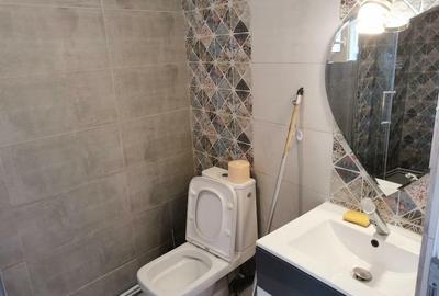 Casa, 2 camere , 40 mp, Podul de Fier, de inchiriat, Padurii, Cod 160766 - 4