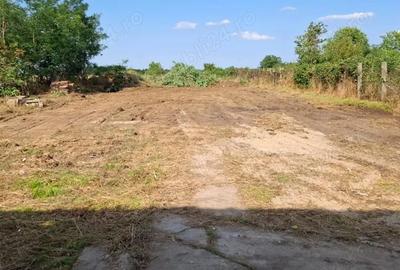 Casă cu 2 camere cu Teren 2930 Mp în Poclușa de Barcău