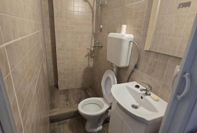 Garsonieră semidecomandată, mobilată în Moșnița Nouă - 6