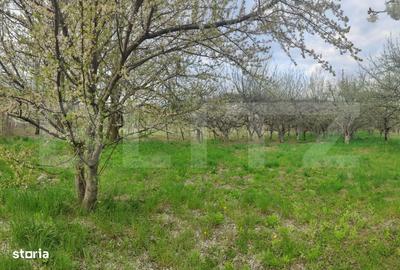 Spațiu comercial, în Gemenea-Brătulești - 15