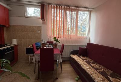 Garsoniera 28mp , zona Calea Floresti - 2