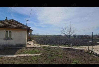 Casă cu 4 camere cu Teren 4276 Mp în Pecineaga - 1