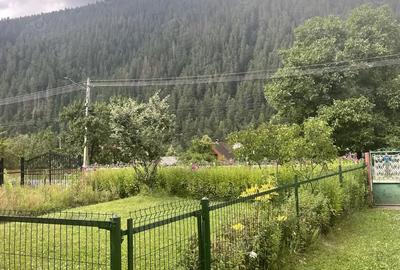 Casa de vanzare mobilata, zona superba! - 7