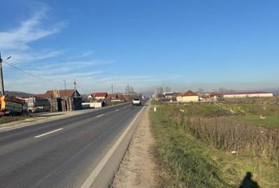 Teren 5000 mp, Valea Mare, Babeni DN64 - 4