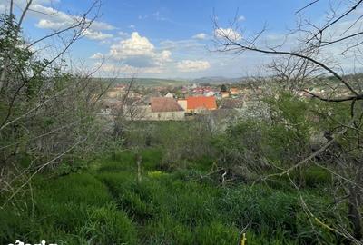 Teren de 5370 mp, în Roșia - 6