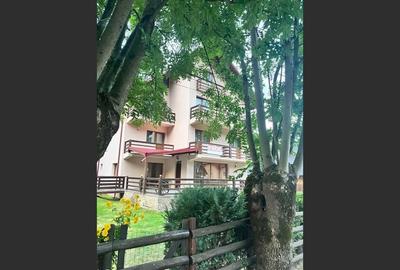 Holiday house/pension in Dâmbovicioara, Argeș - 8