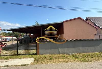 Casă individuală cu 2 camere cu Teren 460 Mp în Săucești - 17