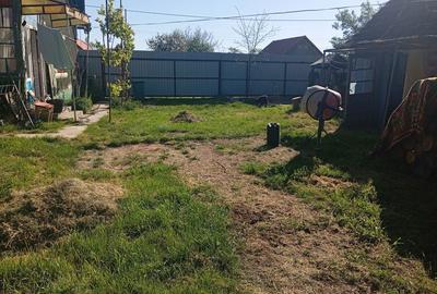 Casă cu 3 camere în Mișca
