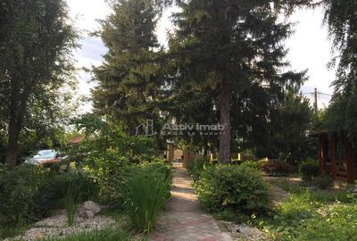 Vila 7 camere 234 mp - Clinceni / Str. Monumentul Eroilor - 16