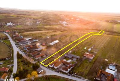 Teren de 5342 mp, în Țețchea - 7