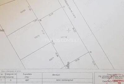 Comuna Berceni ,Strada Miorita - 2