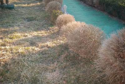 Casă cu 14 camere cu Teren 2500 Mp în Trăisteni - 21